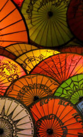 Japanese Umbrellas