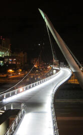 Harbor Dr Pedibridge