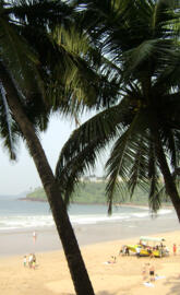 Goa