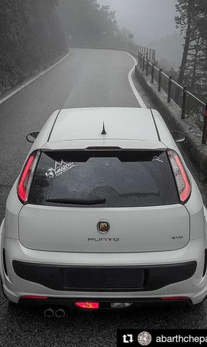 Fiat punto