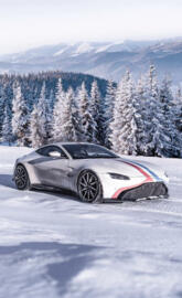 Snowy Vantage