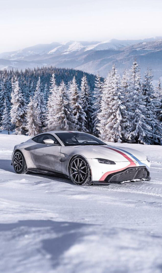 Snowy Vantage
