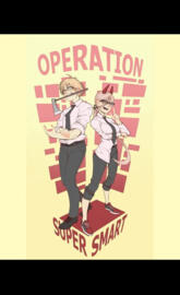 Operation ss