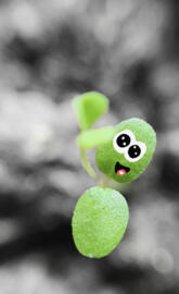 Green and black cute