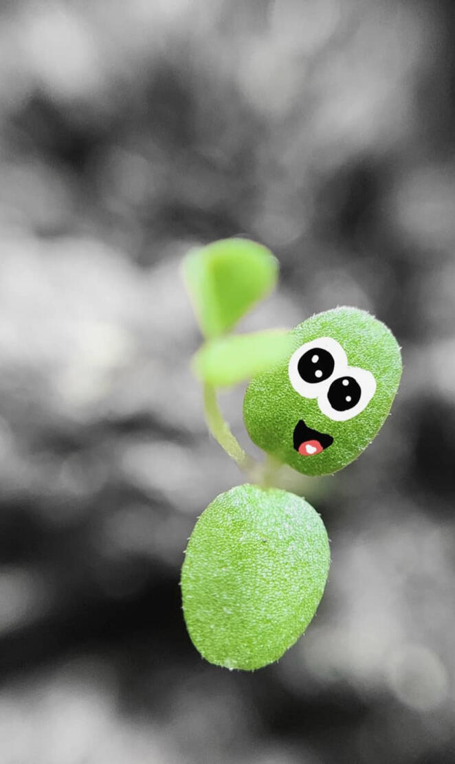 Green and black cute