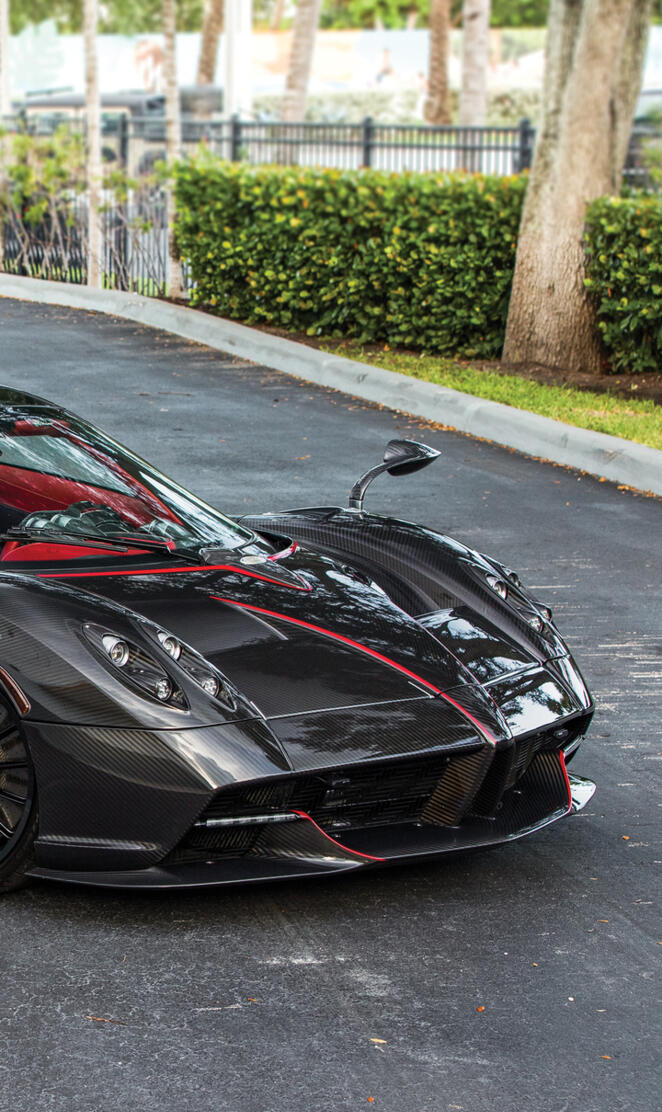 Pagani huyara