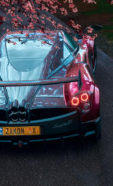 Pagani huarya BC