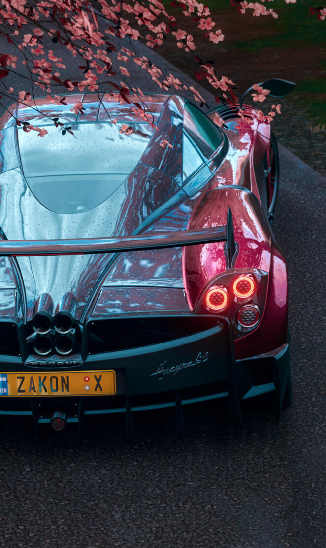 Pagani huarya BC