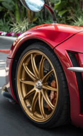 Red n Gold Pagani