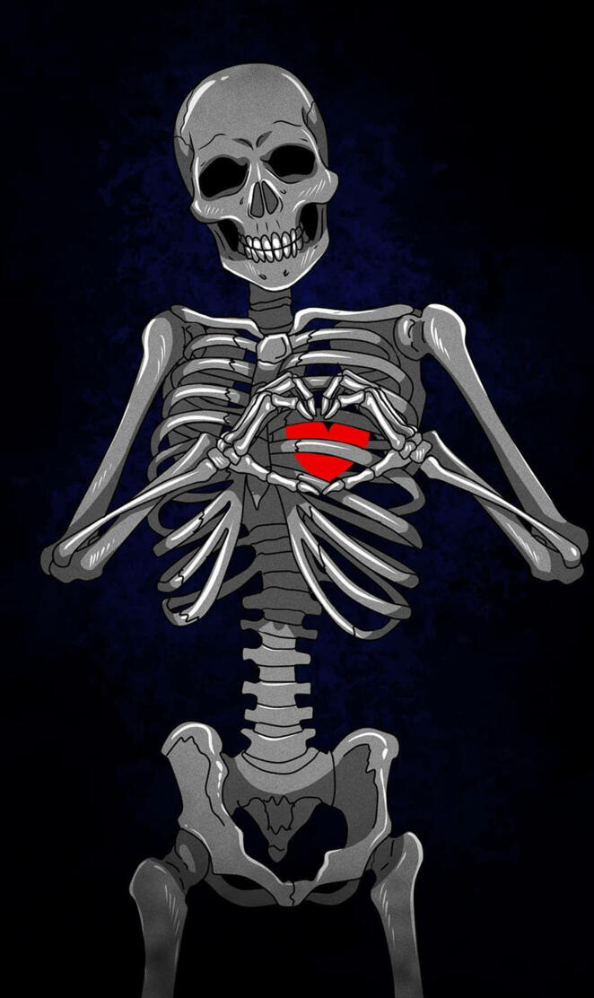 Heart skeleton