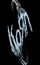 Korn