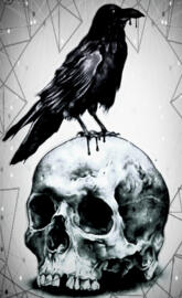 Crow n Skull
