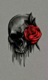 Skeletal rose