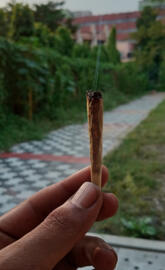 Joint