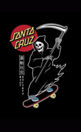 Santa Cruz death