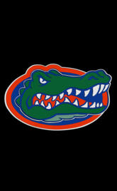 Gators Black Back