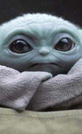 Baby Yoda