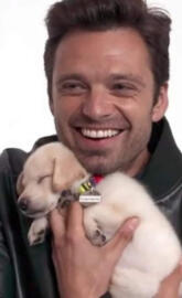 Avengers (Sebastian )