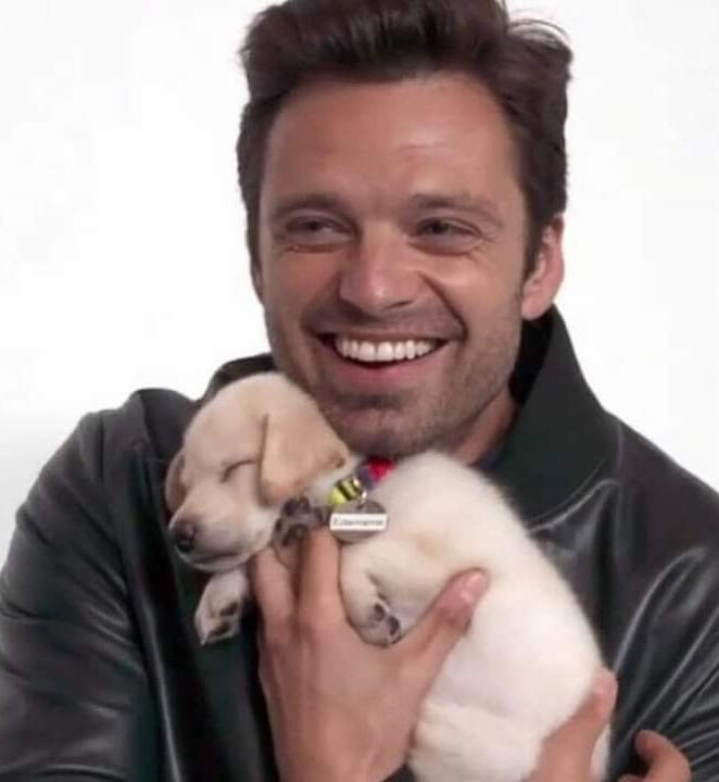 Avengers (Sebastian )