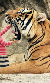 Girl and Tiger