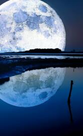 Refletion Moon