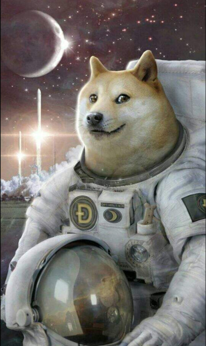 Doge Astronaut