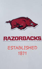 RAZORBACKS