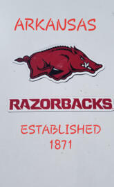 ARKANSAS RAZORBACKS