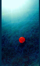 Soccer Ball
