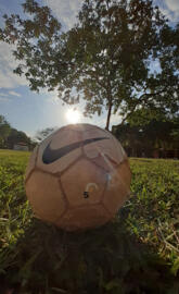 Futebol