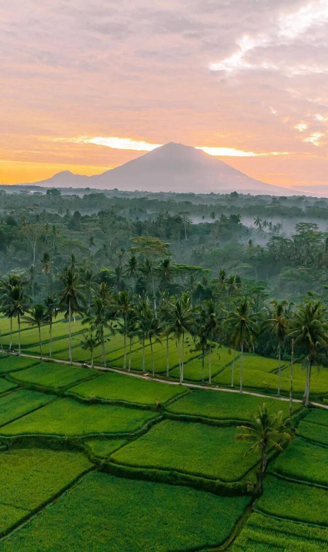 Bali