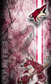 Arizona Coyotes