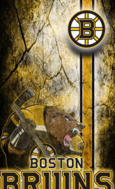 Bruins galaxy