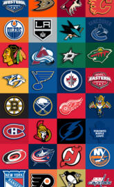 NHL team collage