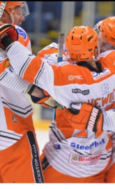 Sheffield steelers