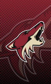Arizona Coyotes