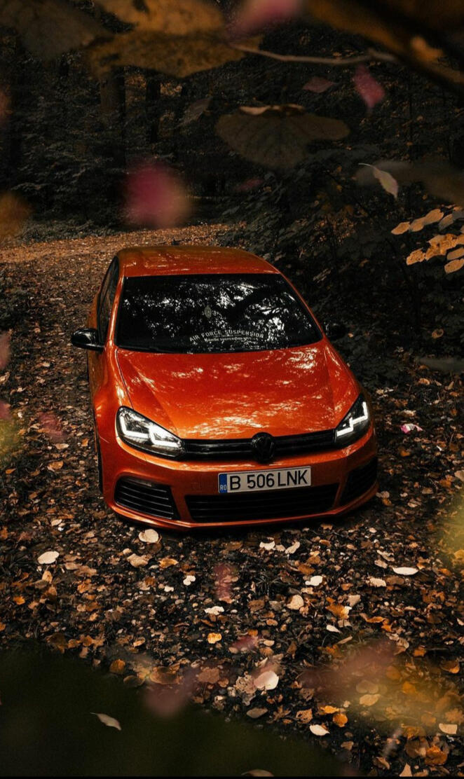 Vw Golf 5-6 The Link