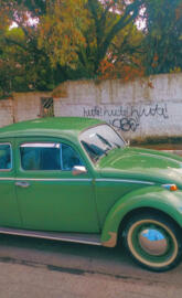 fusca