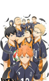 Karasuno Team