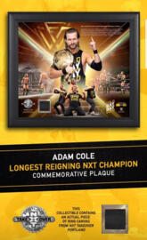 wwe Adam cole
