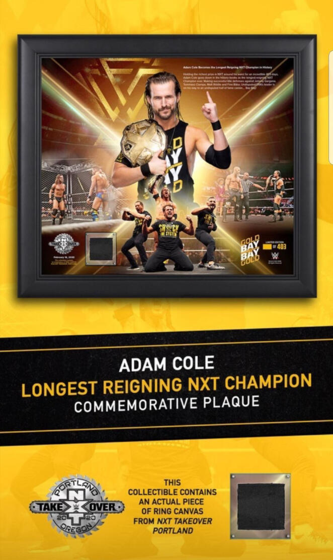 wwe Adam cole