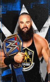 BRAUN STROWMAN