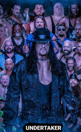 wwe undertaker