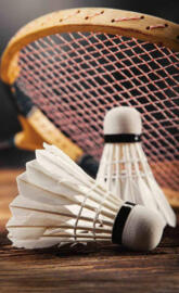 Badminton