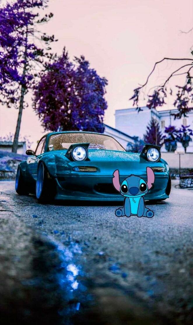 Stich Race
