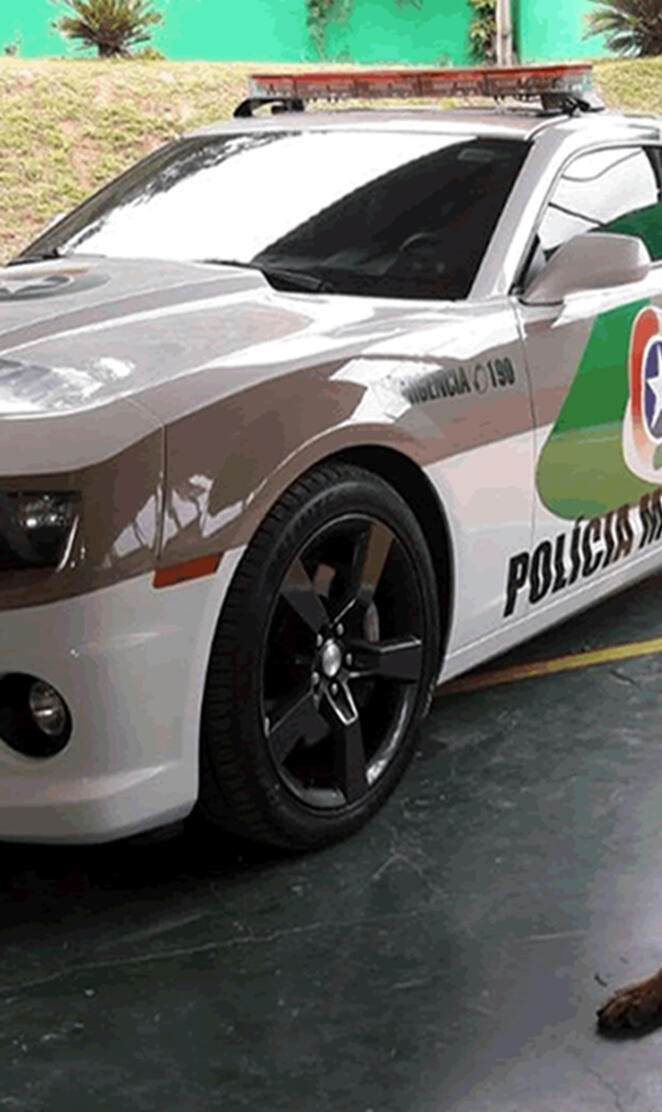 camaro policia