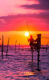 Sri Lanka Fishing