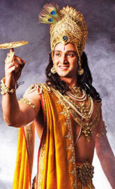 Lord Krishna Mahabhara
