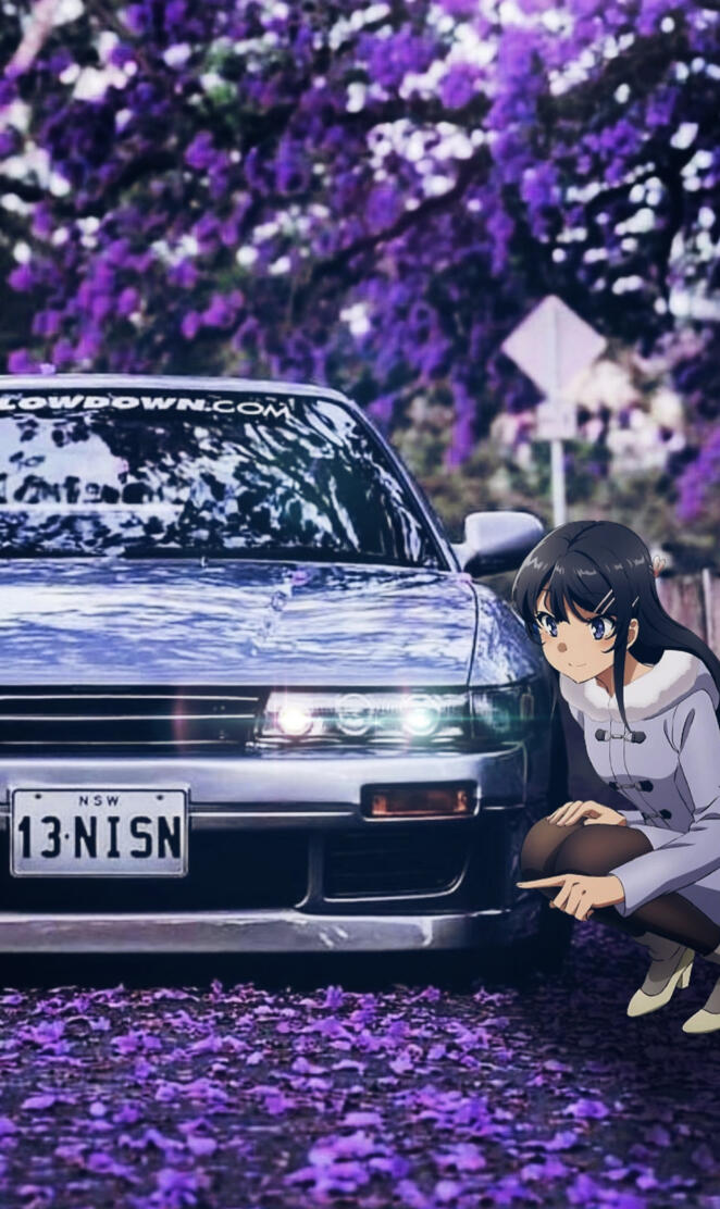 Mai san x jdm