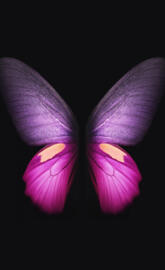 Pink Butterfly 4K